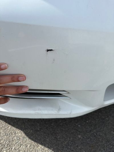 Scratches / Dings / Dents