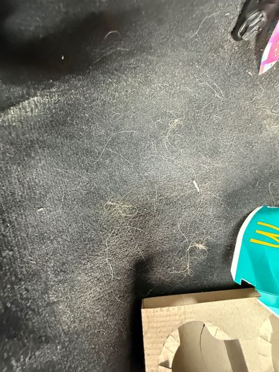 Carpet / Floor Mats