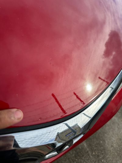 Scratches / Dings / Dents