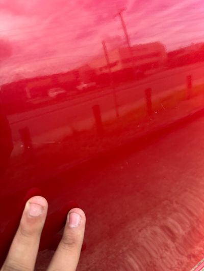 Scratches / Dings / Dents