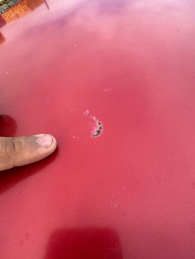 Scratches / Dings / Dents
