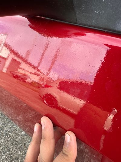 Paint Condition & Consistency