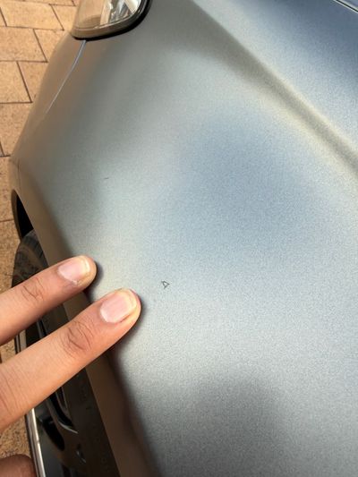 Scratches / Dings / Dents